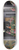 Bartolomeo di Giovanni - Scenes from the Life of Saint John the Baptist 8.25 inch art skate deck