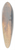 Alfred Thompson Bricher - Sails at Sunset 39.3 inch art pintail longboard deck