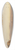 Alfred Thompson Bricher - Sunset on the Coast 39.3 inch art pintail longboard deck