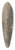 Alfred Zoff - Homecoming Of The Fishermen Of Concarneau 39.3 inch art pintail longboard deck