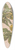 Alice Bailly - Aquarelle dun citronnier 39.3 inch art pintail longboard deck