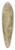 Alphonse Mucha - Etoile Du Soir 39.3 inch art pintail longboard deck