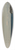 Amaldus Nielsen - Fra Jren 39.3 inch art pintail longboard deck
