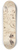 Benjamin Robert Haydon - Portrait Sketch and Seated Figures 8.25 inch art skate deck