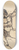 Benjamin Robert Haydon - Study of a Male Nude 8.25 inch art skate deck