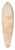 Andrea Sacchi - Portrait of a Man; Francesco Albani 39.3 inch art pintail longboard deck