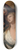 Benjamin West - Paetus and Arria 8.25 inch art skate deck