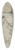 Annibale Carracci - Study of Venus at Rest 39.3 inch art pintail longboard deck