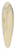 Anny Dollschein - Huser  Entwurf 39.3 inch art pintail longboard deck