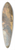 Anton Hansch - Partie vom Hintersee mit Mhlsturzhorn (Bayern) 39.3 inch art pintail longboard deck