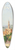 Antonietta Brandeis - View Of Palazzo Vecchio From The Boboli Gardens, Florence 39.3 inch art pintail longboard deck