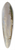 Anton Mauve - Landscape with Cattle 39.3 inch art pintail longboard deck