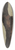Anton Schiffer - Baumstudie im Prater 39.3 inch art pintail longboard deck