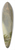 Arthur Parton - Cows Watering at Rivers Edge 39.3 inch art pintail longboard deck