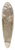 Arthur Rackham - A chrysanthemum heard her, and said pointedly, Hoity-toity, what is this 39.3 inch art pintail longboard deck