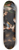 Bernardo Strozzi - Adoration Of The Shepherds 8.25 inch art skate deck