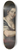 Bernardo Strozzi - Berenice 8.25 inch art skate deck