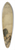 Arthur Rackham - The Adventure of Chanticleer and Partlet 39.3 inch art pintail longboard deck