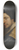 Bernardo Strozzi - Portrait of a man wearing a ruff 8.25 inch art skate deck