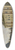 Bartholomeus Johannes van Hove - The Mauritshuis in The Hague 39.3 inch art pintail longboard deck