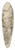 Bartolomeo Passarotti - Study of an eagle 39.3 inch art pintail longboard deck