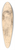 Bartolom Estebn Murillo - Head of an Old Man 39.3 inch art pintail longboard deck