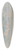 Beppe Ciardi - Walking along the water, Venice 39.3 inch art pintail longboard deck