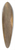 Bruno Liljefors - Female Black Grouse 39.3 inch art pintail longboard deck
