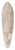 Canaletto - Padua; The River Bacchiglione and the Porta Portello 39.3 inch art pintail longboard deck