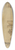 Canaletto - Warwick Castle; The East Front from the Courtyard 39.3 inch art pintail longboard deck