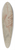Carlo Maratti - Study for an eagles head, three studies for a hand with a quill_and one study for a hand holding a book 39.3 inch art pintail longboard deck