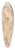 Carlo Maratti - Woman reading, in profile to the left 39.3 inch art pintail longboard deck