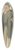 Carlo Pellegrini - Politicians  lately whipped. Col. the Rt. Hon. Thomas Edward Taylor. 4 July 1874 39.3 inch art pintail longboard deck