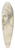 Caroline Bardua - Skizzenbuch 39.3 inch art pintail longboard deck