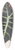 Charles Antoine Lemaire - Caladium Lowii 39.3 inch art pintail longboard deck