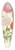 Charles Antoine Lemaire - Chrysanthmes (des jardins) nains et prcoces 39.3 inch art pintail longboard deck