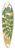 Charles Antoine Lemaire - Gymnogramma Laucheana, var. gigantea 39.3 inch art pintail longboard deck