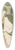 Charles Antoine Lemaire - Lapageria rosea R. et.P. var. albiflora 39.3 inch art pintail longboard deck
