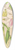 Charles Antoine Lemaire - Miltonia rosea 39.3 inch art pintail longboard deck
