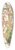 Charles Antoine Lemaire - Odontoglossum bictoniense (var. splendens) 39.3 inch art pintail longboard deck