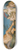 Bolognese School - Polyphemus And Galatea 8.25 inch art skate deck
