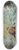 Broncia Koller-Pinell - Werden und Vergehen 8.25 inch art skate deck