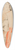 Charles Gates Sheldon - Pin Up in a Mask 39.3 inch art pintail longboard deck
