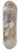 Bruno Liljefors - Detail Study of a Peregrine Falcons Nest 8.25 inch art skate deck