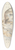 Charles Hamilton Smith - Fennec of Bruce and Red Backed Fennec 39.3 inch art pintail longboard deck