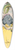 Charles Henry Bennett - The Daw In Borrowed Plumes 39.3 inch art pintail longboard deck