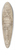 Cherubino Alberti - Detail of CeilingOrnamentation 39.3 inch art pintail longboard deck