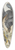 Circle of Aert Schouman - A Duck And Four Other Birds, Three On A Branch 39.3 inch art pintail longboard deck