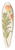 Clemenz Heinrich Wehdemann - Gloriosa [Gloriosa superba] 39.3 inch art pintail longboard deck