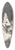Cornelis Pietersz. Bega - Krostue 39.3 inch art pintail longboard deck
